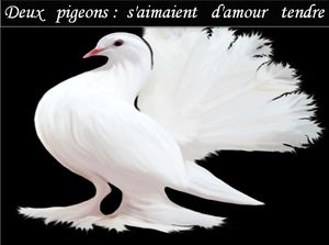 deux_pigeons