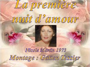 la_premiere_nuit_d_amour__nicole_martin