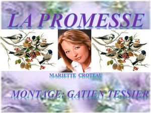 la_promesse__mariette_croteau