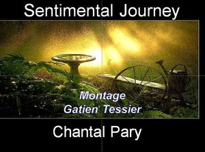 sentimental_journey