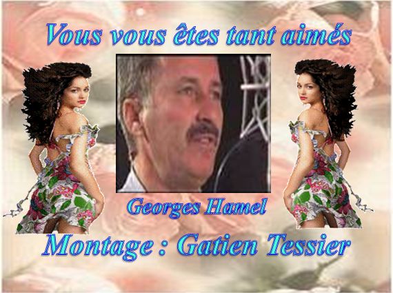 vous_vous_etes_tant_aimes__georges_hamel