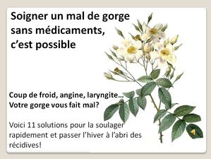 soigner_par_les_plantes_dede_francis