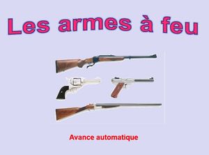 les_armes_a_feu_papiniel