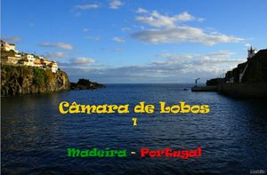camara_de_lobos_madere_le_portugal