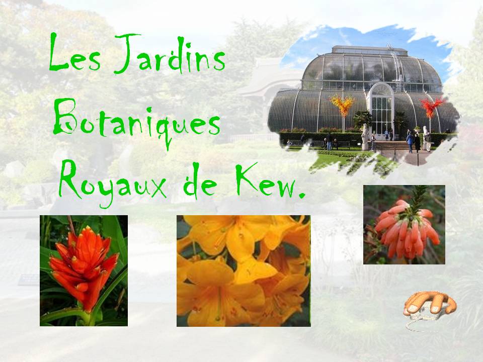 jardins_botaniques_royaux_de_kew_p_sangarde