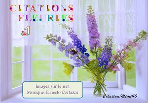citations_fleuries_1