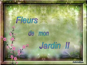 fleurs_de_mon_jardin_2_dede_51