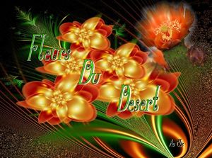 fleurs_du_desert_dede_51