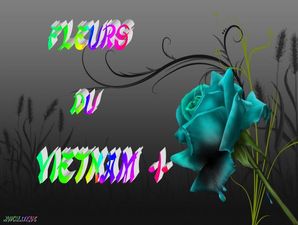 fleurs_du_vietnam_1_dede_51