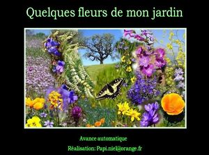 fleurs_papiniel