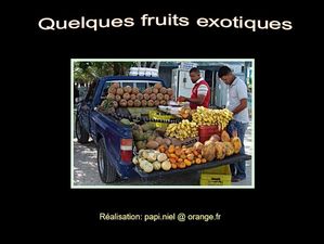 fruits_exotiques_papiniel