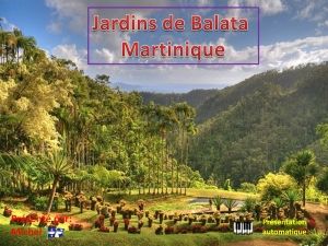 jardins_de_balata_martinique_michel
