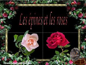 les_epines_et_les_roses
