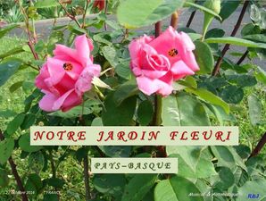 notre_jardin_fleuri_pays_basque_rick_jessie_64