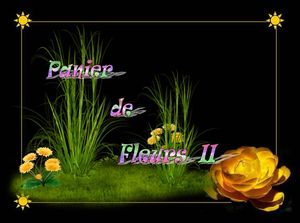 panier_des_fleurs_2_dede_51