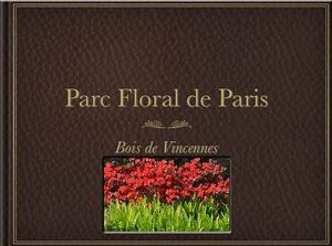 parc_floral_de_paris_by_alainchant93