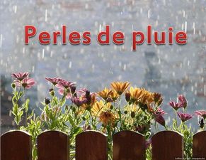 perles_de_pluie