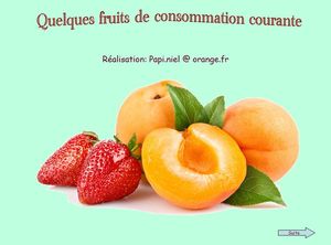 quelques_fruits_communs_papiniel