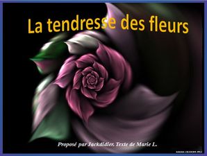 tendresse_des_fleurs_jackdidier