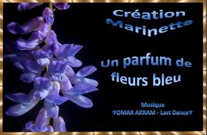 un_parfum_de_fleurs_bleu_marinette