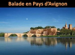 balade_en_pays_d_avignon_pancho