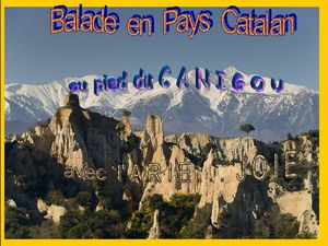 balade_pays_catalan_2_ariejoie