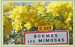 bormes_les_mimosas