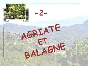 corse_2_agriate_balagne_marijo