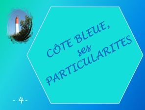 cote_bleue_4_particularites_marijo