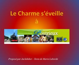 le_charme_s_invite_a_pontrieux_jackdidier