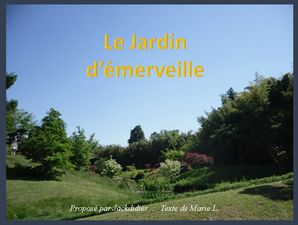 le_jardin_d_emerveille_jackdidier