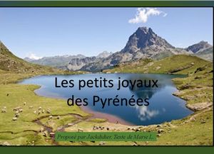 les_petits_joyaux_des_pyrenees_jackdidier