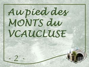 pied_monts_vaucluse_2_marijo