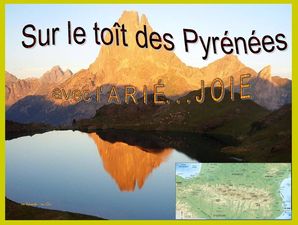 pyrenees_1_avec_l_ariejoie