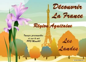 region_d_aquitaine__les_landes