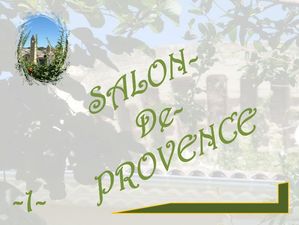 salon_de_provence_1_marijo