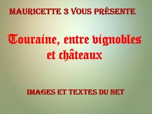 touraine_entre_vignobles_et_chateaux_mauricette3
