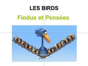 bd_birds__findus_et_pensees