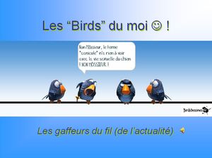 birds_du_moi