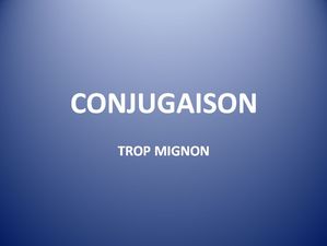 conjugaison_11