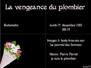 la_vengeance_du_plombier