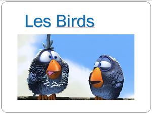 les_birds