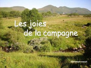 les_joies_de_la_campagne