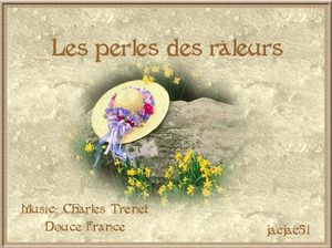 les_perles_des_raleurs