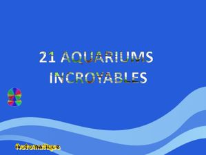 21_aquariums_incroyables_chantha