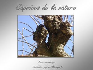 caprices_de_la_nature