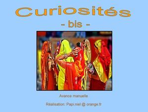 curiosites_bis_papiniel