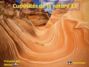 curiosites_de_la_nature_13_michel