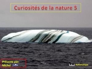 curiosites_de_la_nature_5_michel