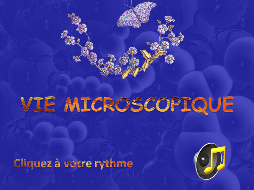 vie_microscopique_chantha